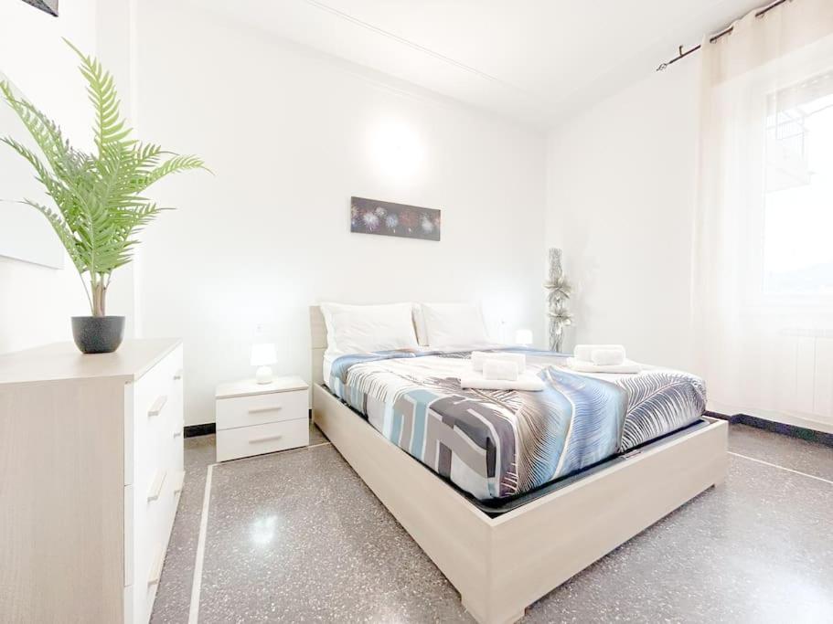 Elegant Apartment - Wifi - Smart Tv - Netflix Genua Exterior foto